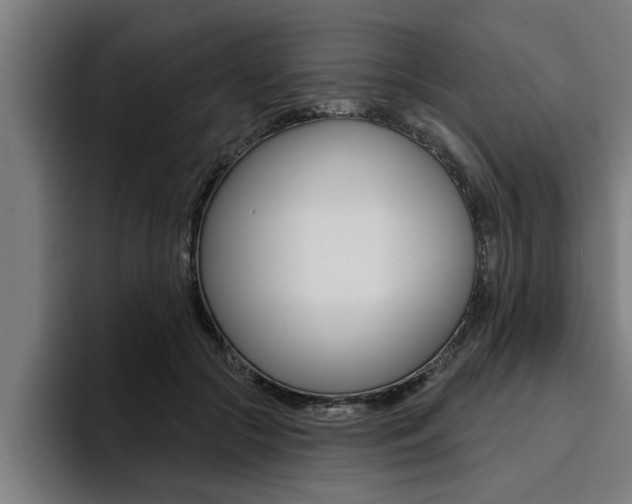X0000094420553200711081001