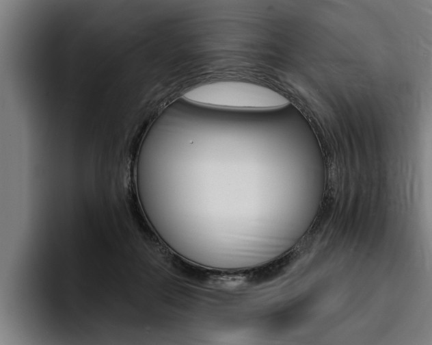 X0000094420554200711081001