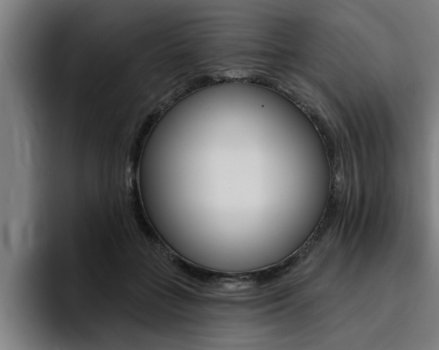 X0000094420555200711081001