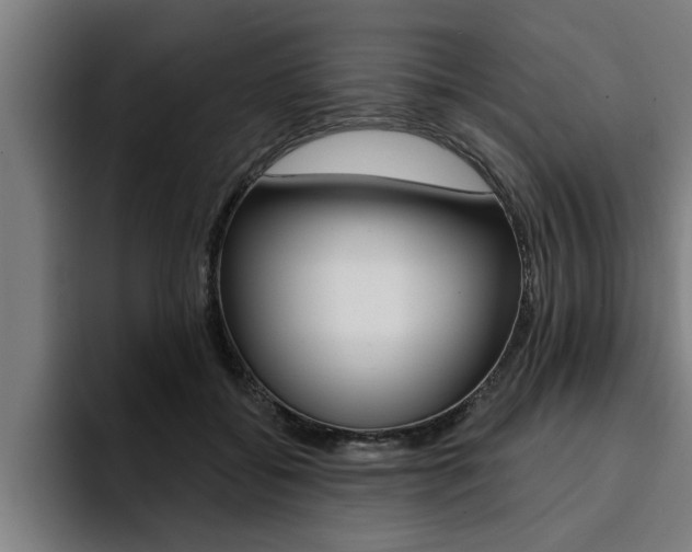 X0000094420556200711081001