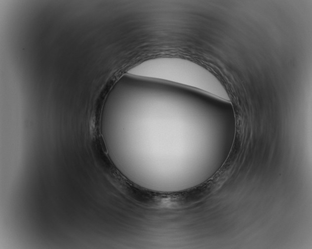 X0000094420564200711081001