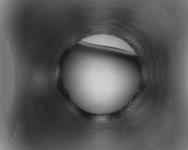 X0000094420574200711081001