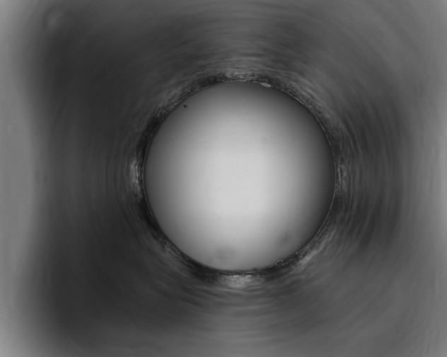 X0000094420575200711081001