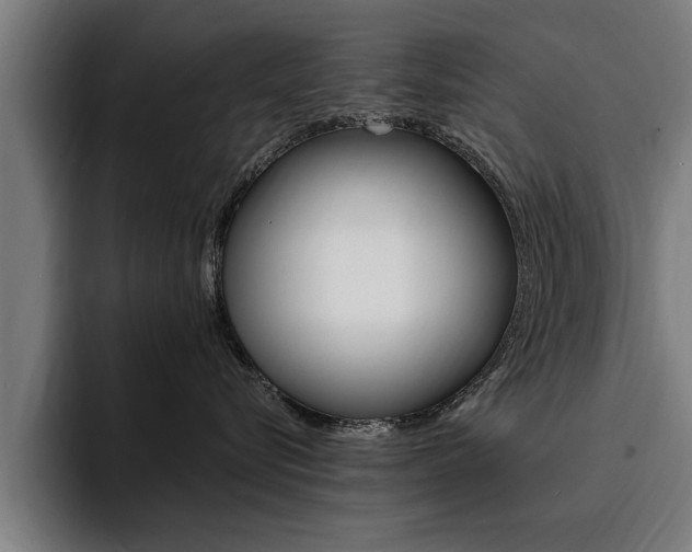 X0000094420576200711081001