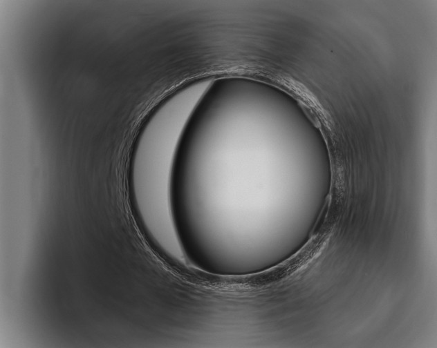 X0000094420577200711081000
