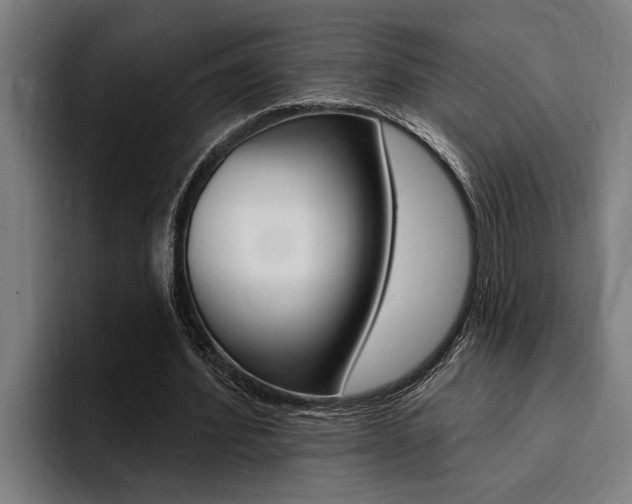 X0000094420580200711081000