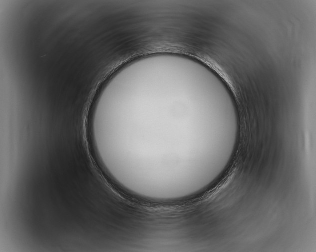X0000094420581200711081000