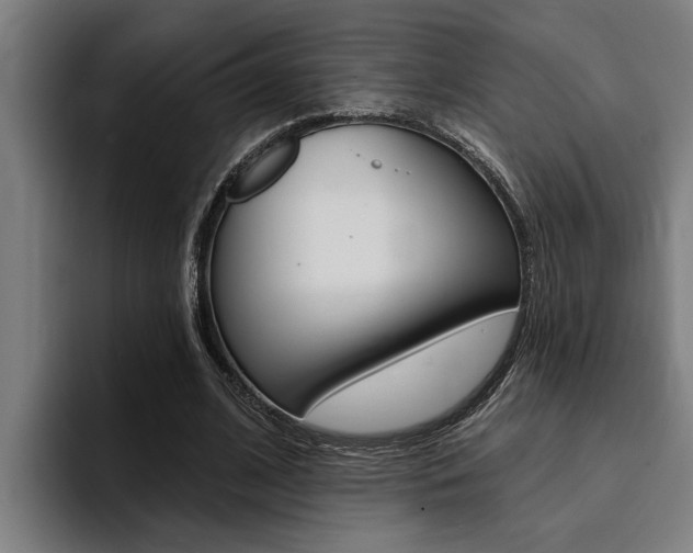X0000094420584200711081000