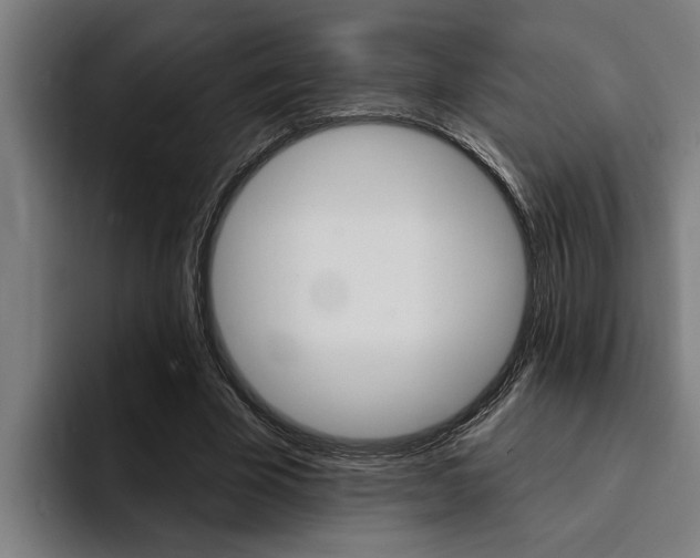 X0000094420585200711081000