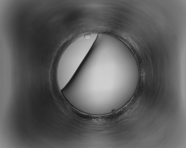 X0000094420591200711081000