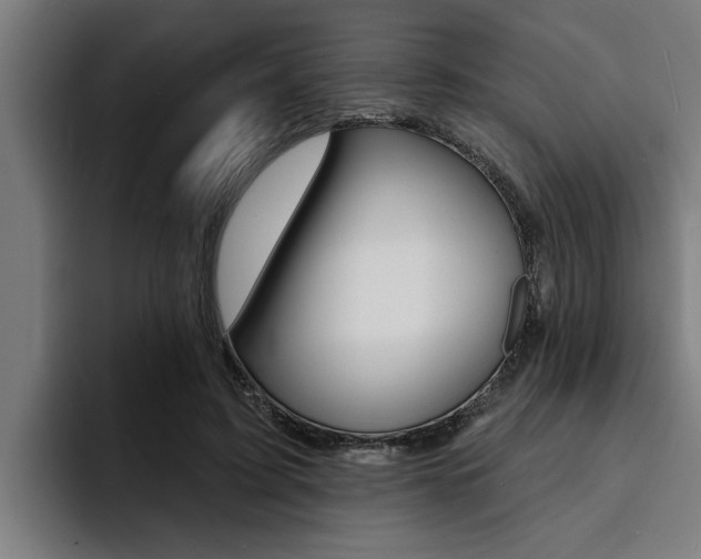 X0000094420595200711081000