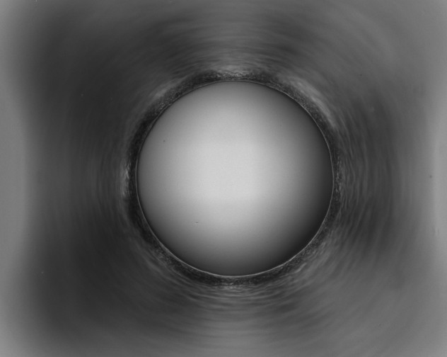 X0000094420596200711081000