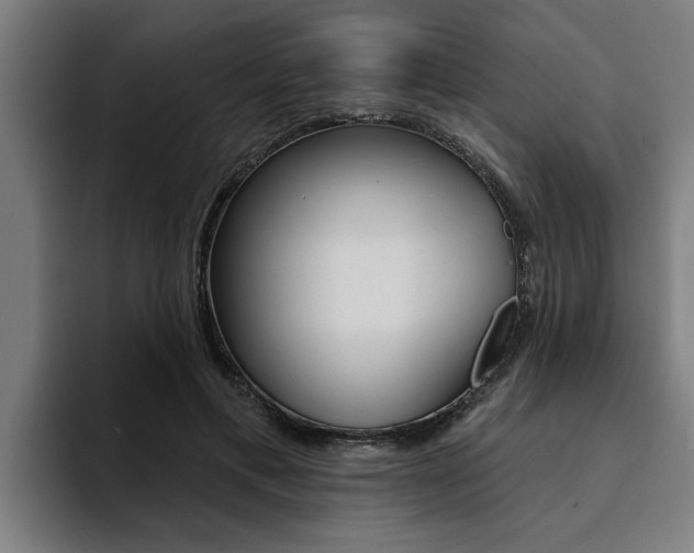 X0000094420597200711081000