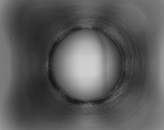 X0000094420600200711081000