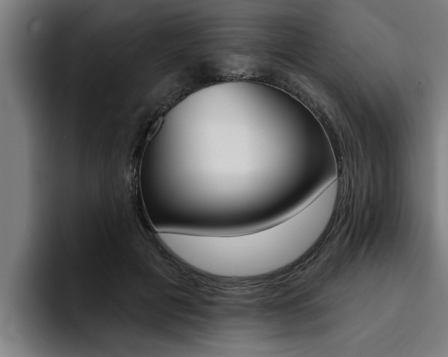 X0000094420601200711081000