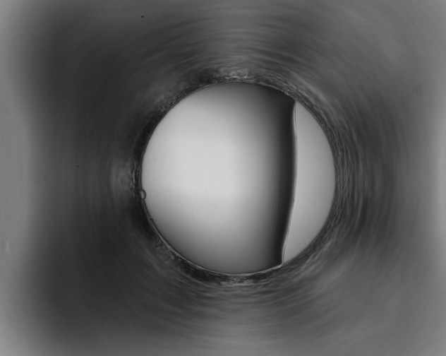 X0000094420603200711081000