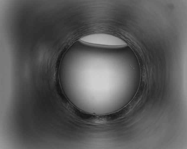 X0000094420604200711081000