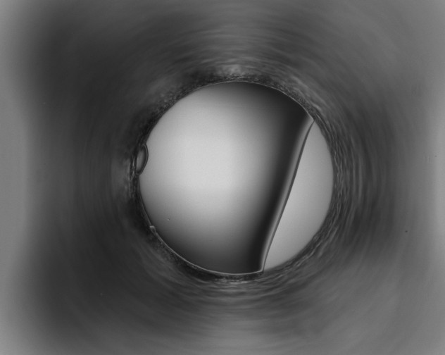 X0000094420605200711081000
