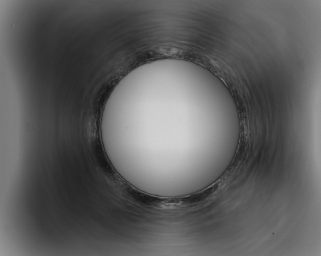 X0000094420606200711081000