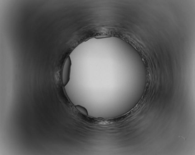 X0000094420611200711081000