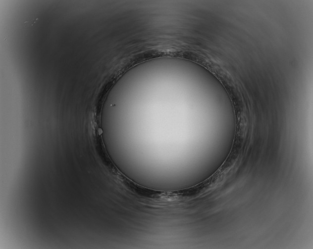 X0000094420612200711081000