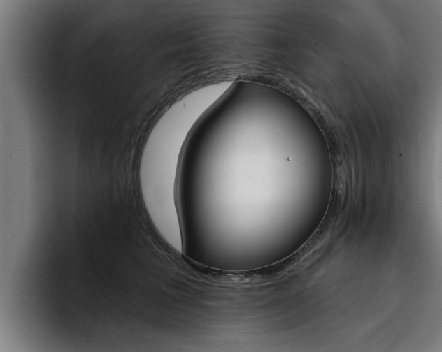 X0000094420613200711081000