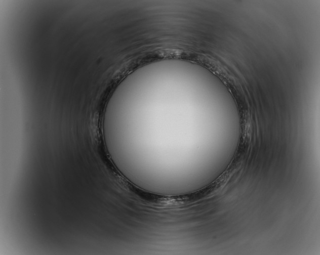 X0000094420616200711081000