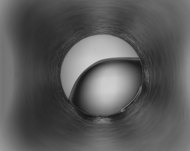 X0000094420617200711081000