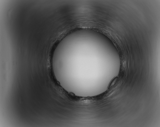 X0000094420620200711081000