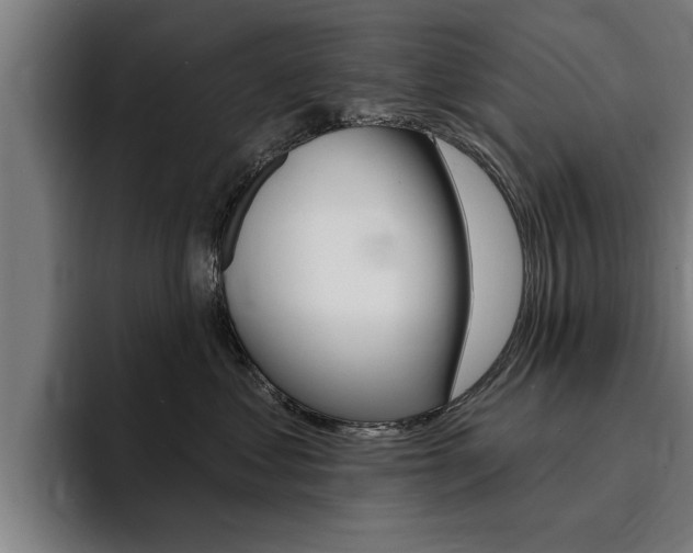 X0000094420621200711081000