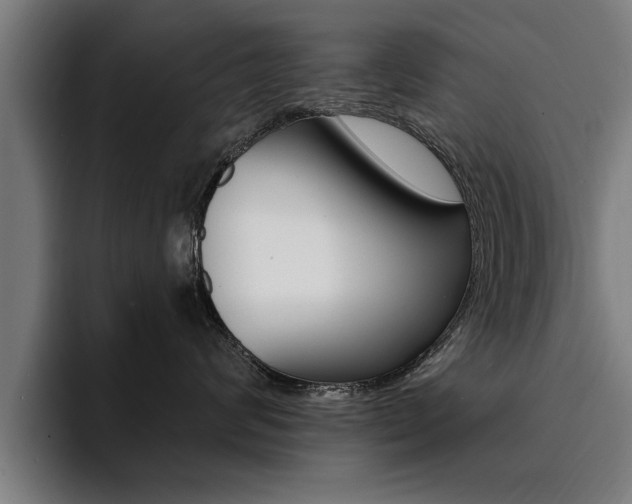 X0000094420624200711081000