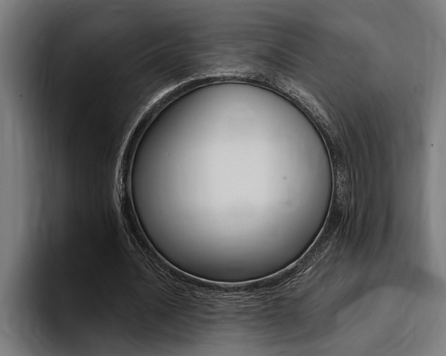 X0000094420628200711080959