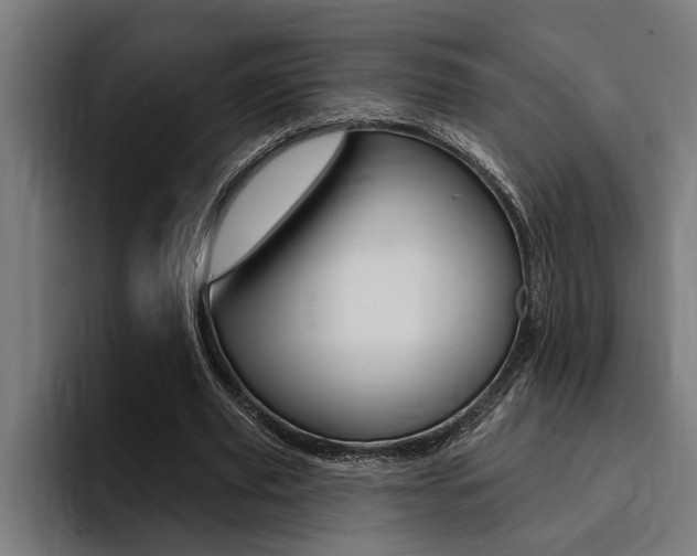 X0000094420629200711080959