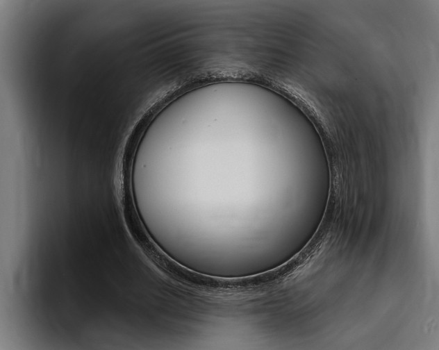 X0000094420630200711080959