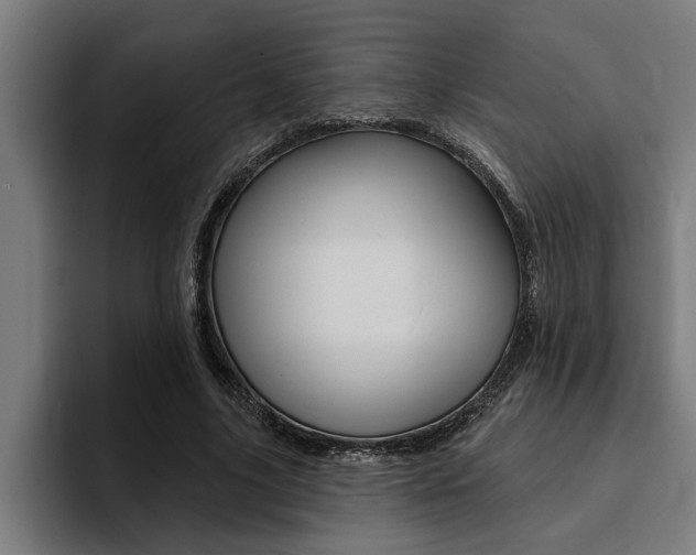 X0000094420635200711080959