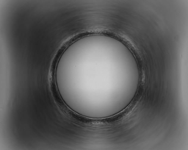X0000094420636200711080959