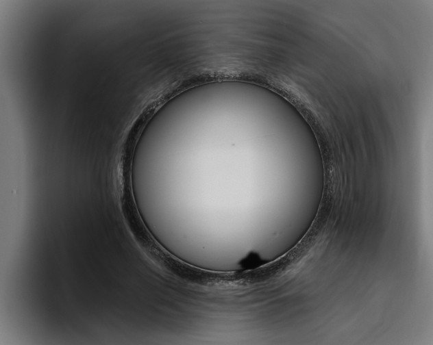 X0000094420638200711080959