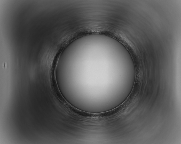 X0000094420639200711080959