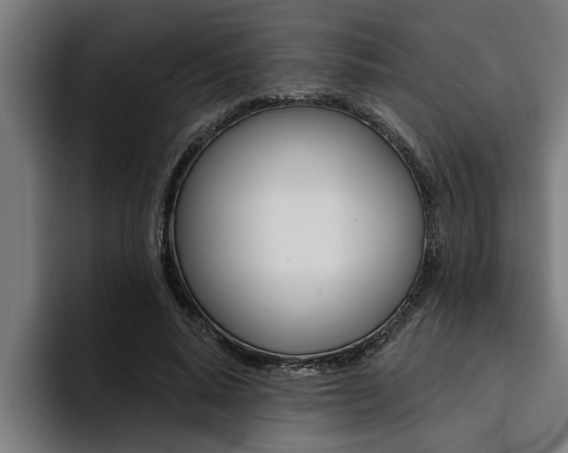 X0000094420640200711080959