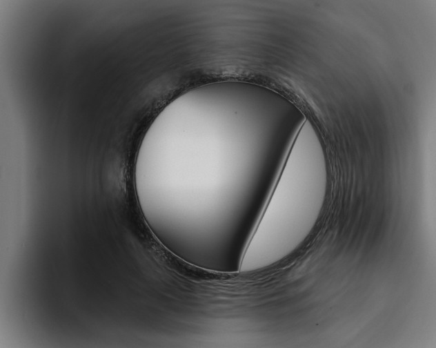 X0000094420643200711080959