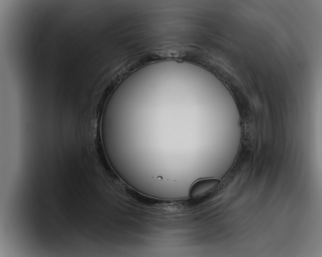 X0000094420652200711081000