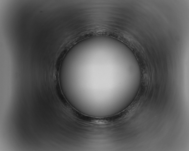 X0000094420654200711081000