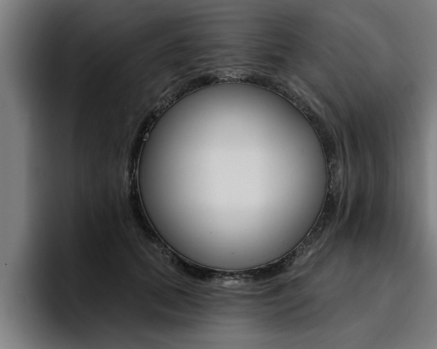 X0000094420655200711081000