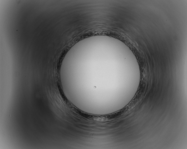 X0000094420659200711081000
