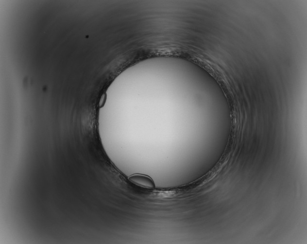 X0000094420665200711081000