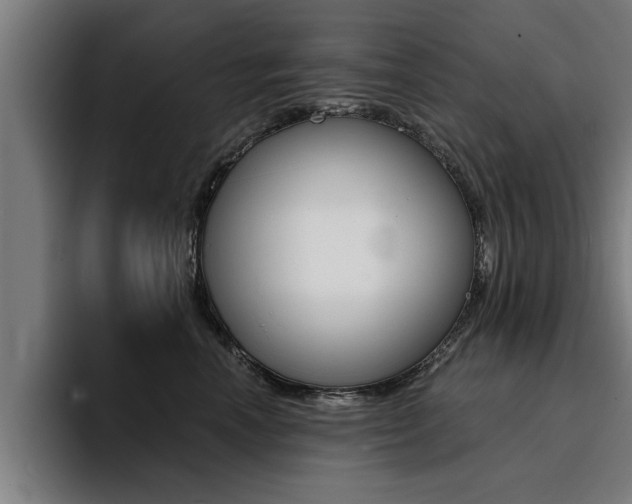 X0000094420666200711081000