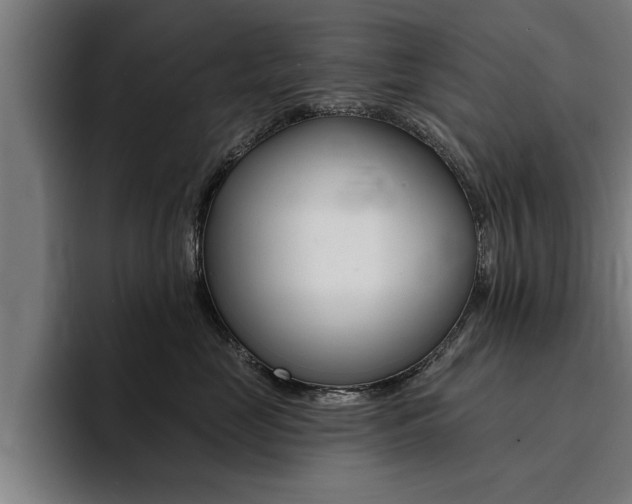 X0000094420669200711081000