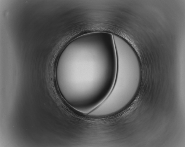 X0000094420673200711080959