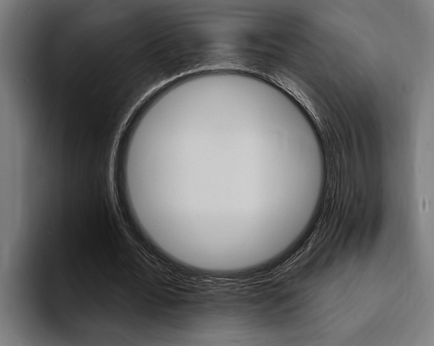 X0000094420676200711080959