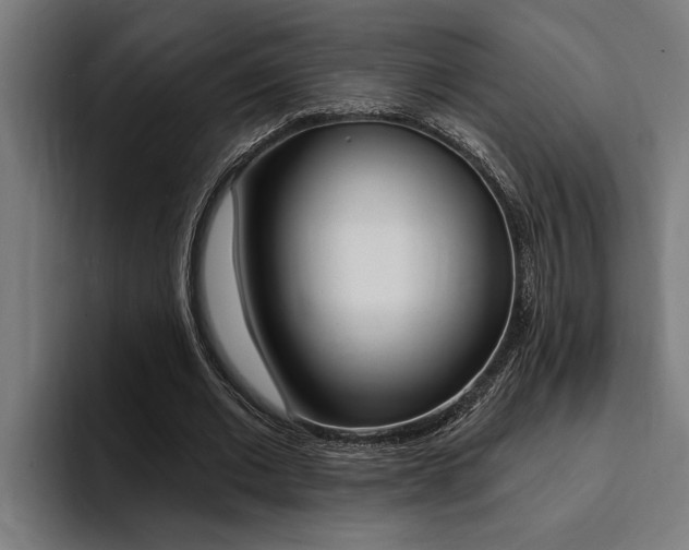 X0000094420677200711080959